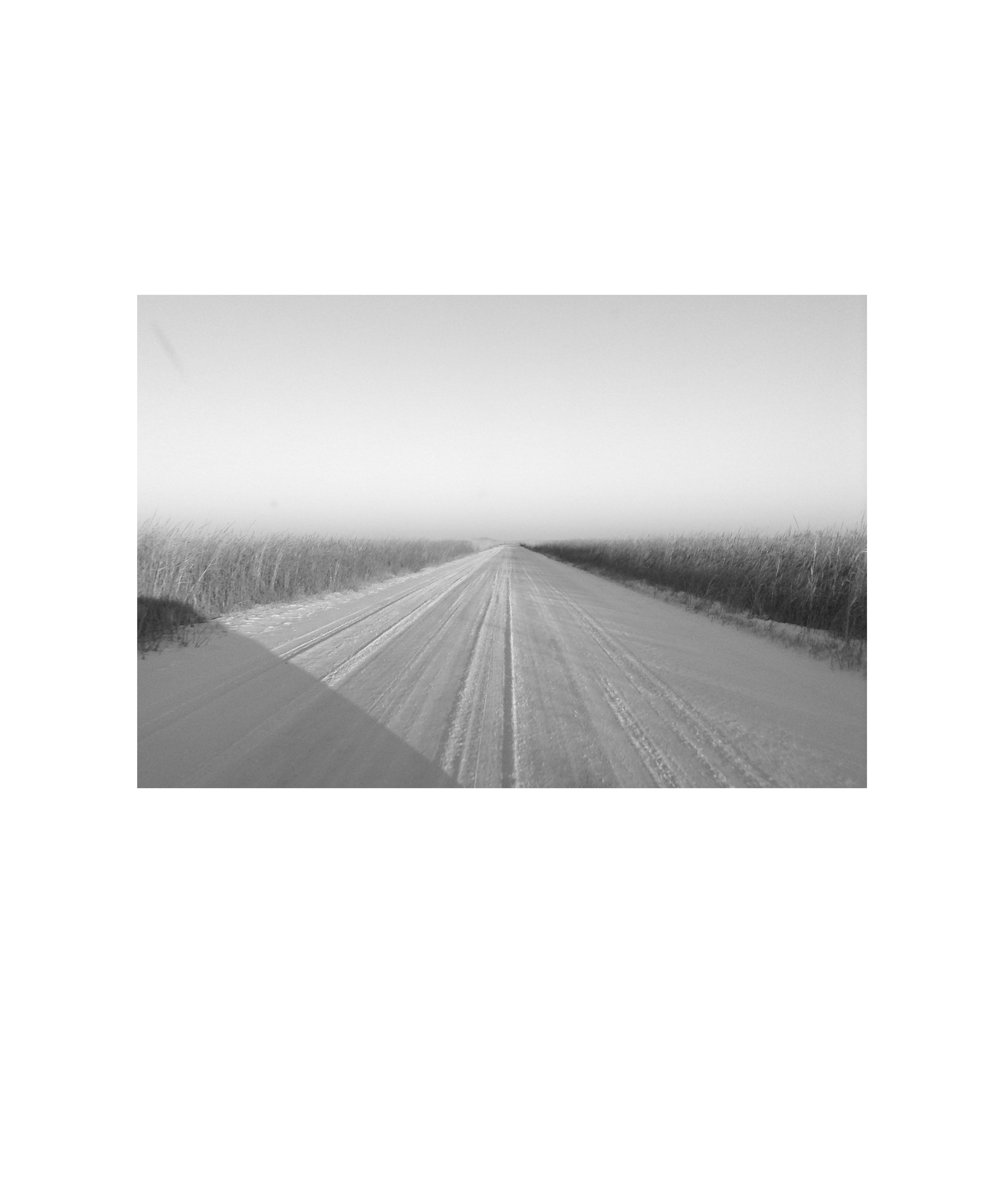 photograph of a country road in winter