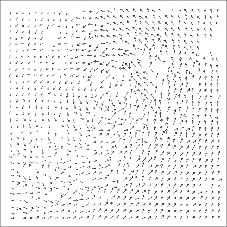 line drawing of wind vector map